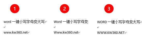 word小写字母转大写