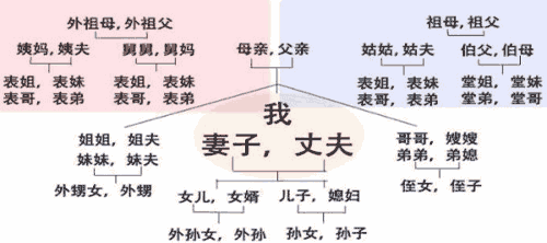 堂兄妹有多少血缘关系比例表兄妹亲戚